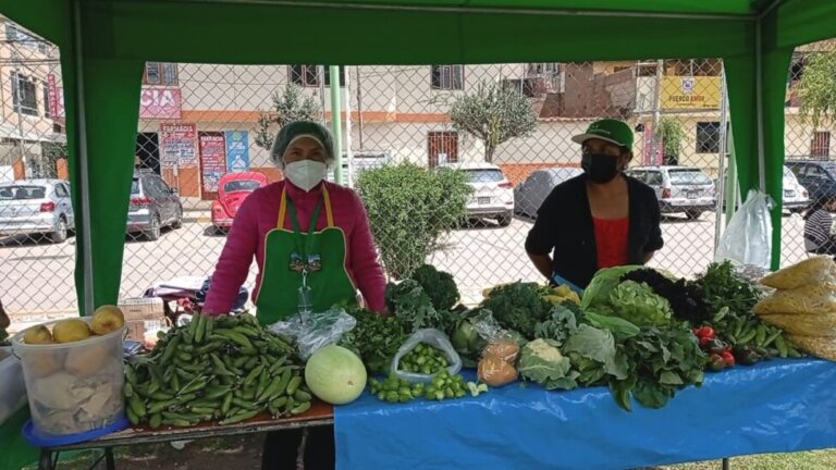 Maribel Palomino (L), president of the Provincial Association of Ecological Producers of Quispicanchi, sells chemical-free vegetables every week at the agroecological market in the neighborhood of Marcavalle in the city of Cuzco, Peru. CREDIT: Courtesy of Maribel Palomino - Lourdes Barreto says that as an agroecological small farmer she has improved her life and that of Mother Earth. Her story highlights the difficulties that rural women face on a daily basis, and their ability to struggle to overcome them