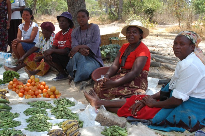 Obwohl Simbabwe unter einer Ernährungskrise leidet, bleiben die Marktfrauen häufig auf ihrem Gemüse sitzen. (Bild: Michelle Chifamba/IPS)