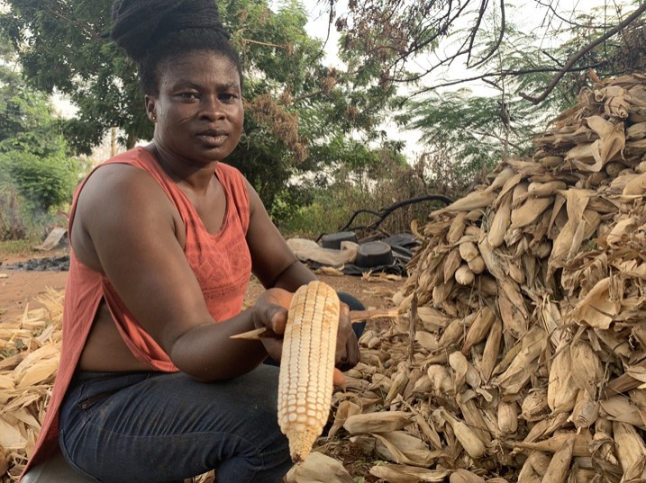 Adwoa Frimpomaah befürchtet, dass ihre Familie regelmäßig mit Aflatoxinen verunreinigte Nahrungsmittel zu sich nimmt (Bild: Albert Oppong-Ansah/IPS).